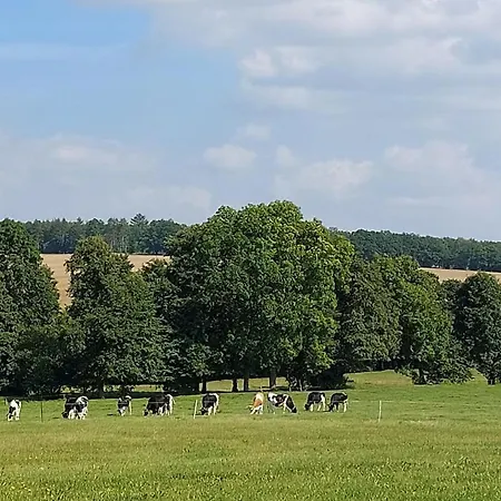 Stilvolle Im Eichsfeld 公寓