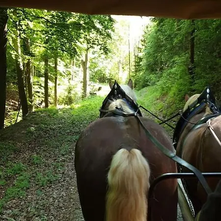 アパート Stilvolle Im Eichsfeld *