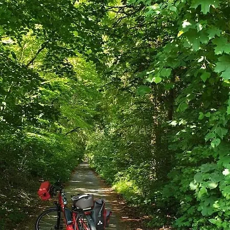 Stilvolle Im Eichsfeld アパート