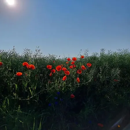 Stilvolle Im Eichsfeld Niederorschel