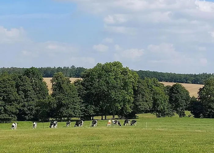 Stilvolle Im Eichsfeld דירה