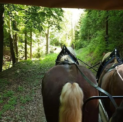 דירה Stilvolle Im Eichsfeld *