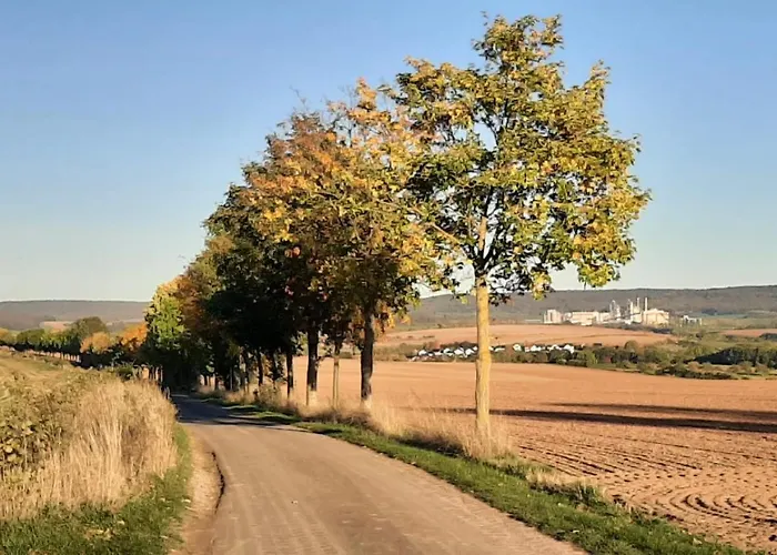 Stilvolle Im Eichsfeld Niederorschel