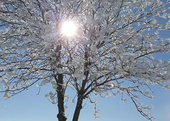 דירה Stilvolle Im Eichsfeld