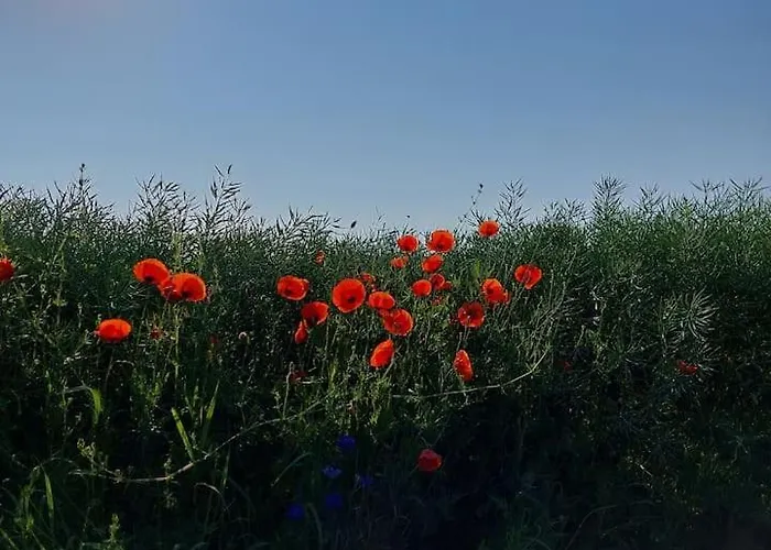 Stilvolle Im Eichsfeld Niederorschel