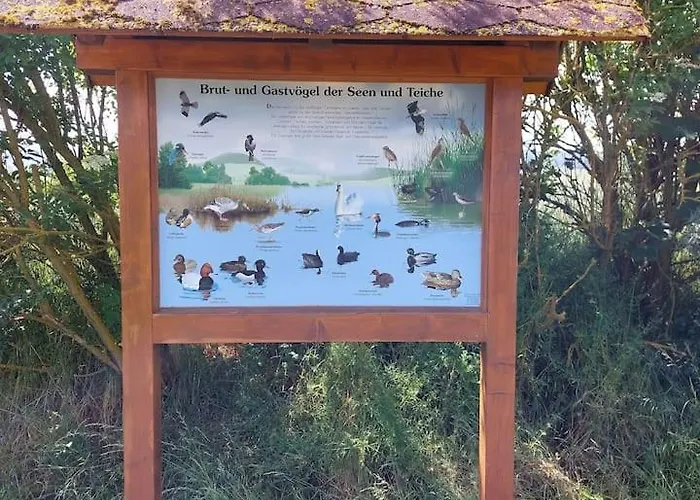 Stilvolle Im Eichsfeld דירה Niederorschel